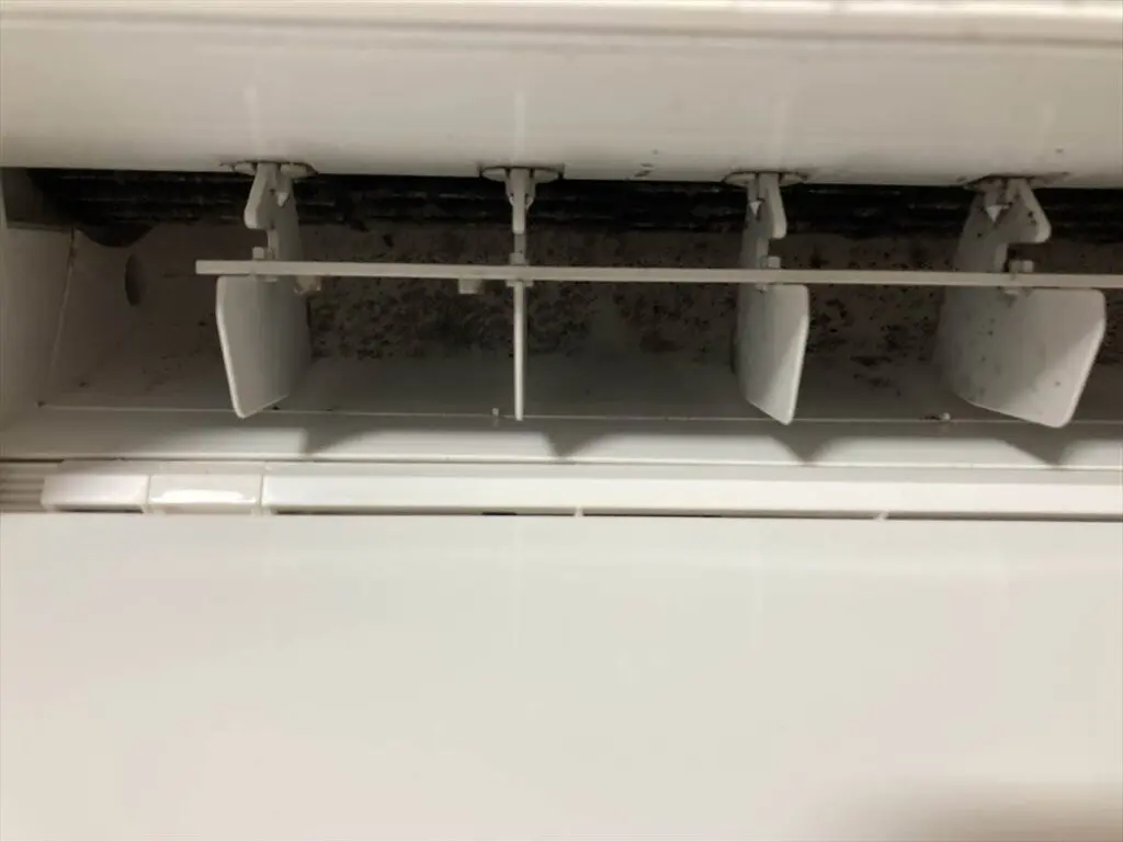 買って一年も経っていない新品のエアコンでもかなりの量のカビが生えています