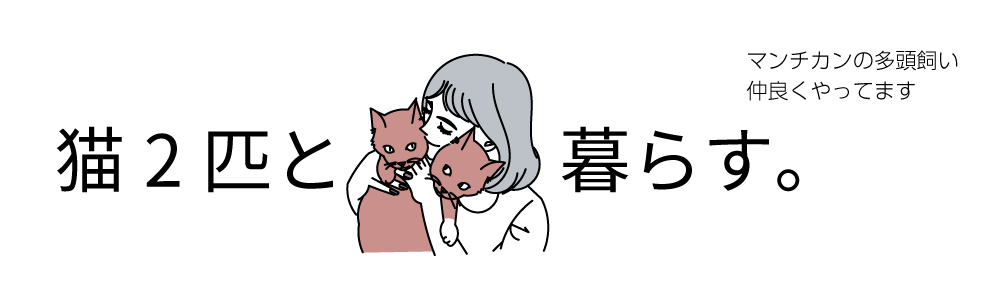 猫2匹と暮らす。